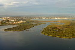 Towra Point Nature Reserve 201708