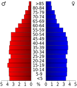 USA Scott County, Tennessee.csv age pyramid