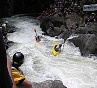 Wairoa Extreme Race Roller Coaster