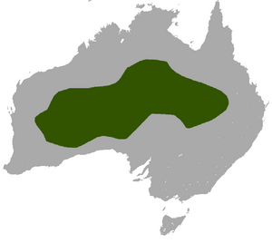 Wongai Ningaui area.png