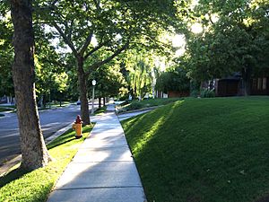 Yalecrest Laird Streetscape