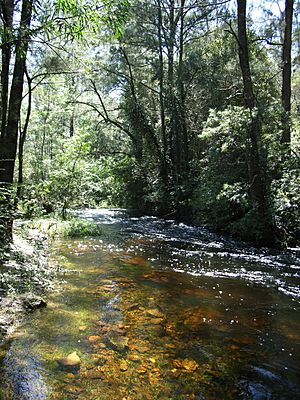 Australian bass habitat — rapids