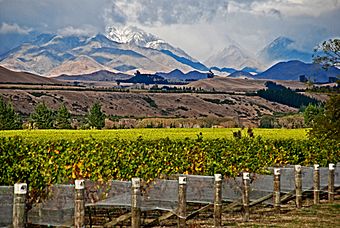 Autumn in the Awatere Valley.jpg