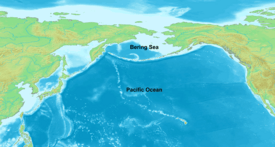 Bering Sea Location