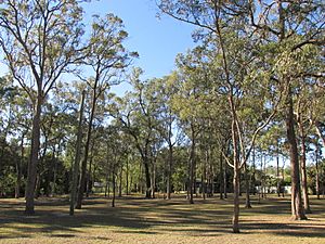 Browns Plains acacia park 3