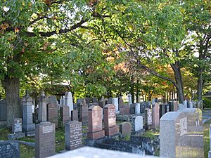 Cimetière juif de QuébecC.JPG