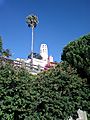 Coit tower 2