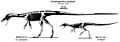 Compsognathus