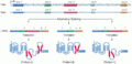 DNA alternative splicing