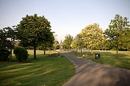 Elthorne Park Hanwell 3367.jpg