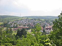 Eschelbronn Panorama