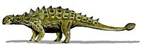 Euoplocephalus BW.jpg