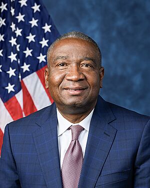 Official House portrait of Fields smiling in front of the U.S. flag, wearing a dark blue suit, white shirt, and checkered red and blue tie.