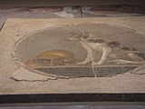 Ancient mosaic found in excavations under the new Alexandria library