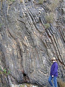 Folded Rock