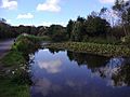 Gimingham mill pond River Mun