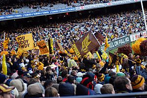 Hawthorn Hawks supporters