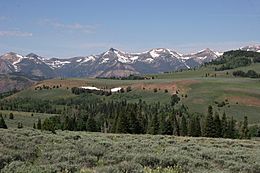 Jarbidge mtns