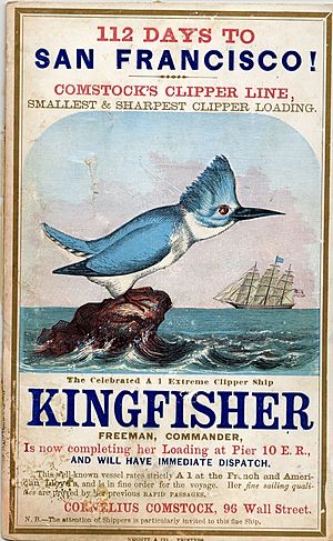 KINGFISHER (Ship) (c112-01-52)