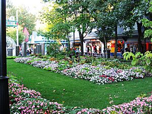 Lagoon gardens