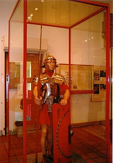 Legionary museum model