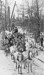 Logging sleigh