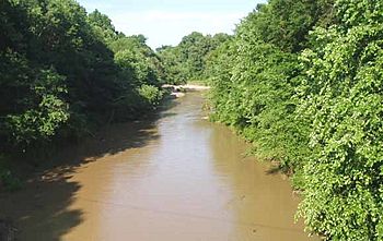 Loosahatchie River.jpg