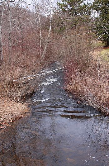 Marsh Creek looking downstream.JPG