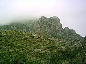 Mountains arta 2006