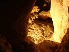 NaturalBridgeCaverns17