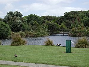 Nga Manu lawn area with lake