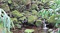 Oahu-Kahaluukalo-AhuimanuStream-crossing