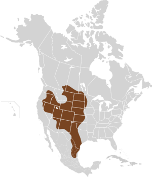 Onychomys leucogaster map.svg