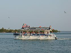 Paraiso.Catamaran