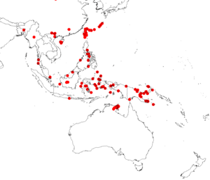 Parsonsia alboflavescens Dist GBIF2.png