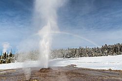 Pink Cone Geyser (33413993710)