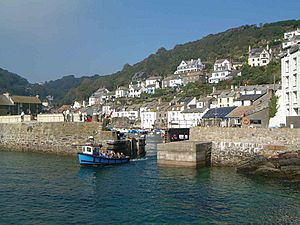 Polperro from Boat 1