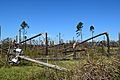 Power of Hurricane Michael (30388815577)