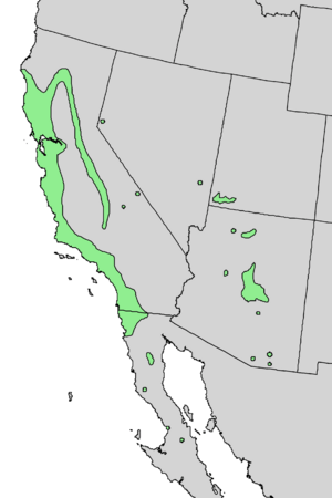 Salix laevigata range map 4.png