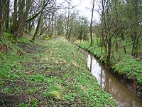 Slough of Despond, Slough Burn