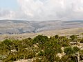 Socotra -Dixam00