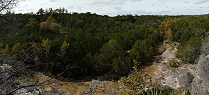 Spicewood Springs Trail