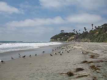 Swami's beach in Encinitas