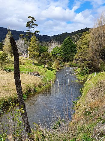 Takahue River.jpg