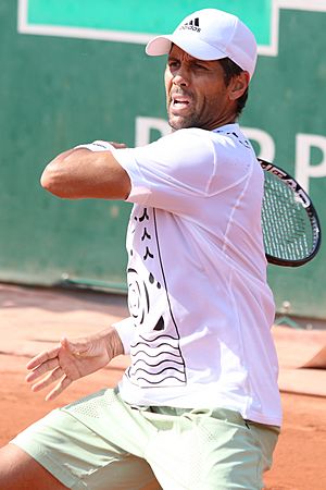 Verdasco RGQ22 (7) (52129516961).jpg