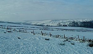 Washburn Valley - geograph.org.uk - 1721355