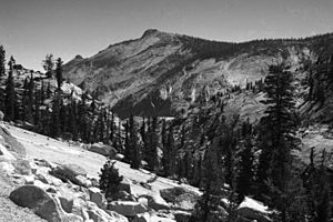 Yosemite rocks