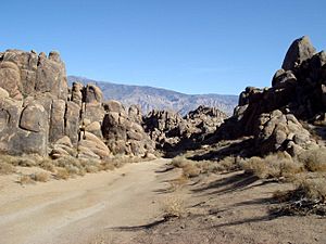 01-2007-AlabamaHills-07-gungadin