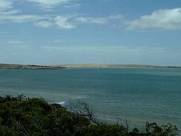 09 Baird Bay 06.JPG