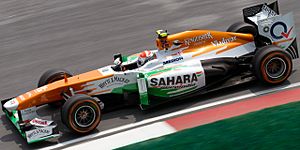 Adrian Sutil 2013 Malaysia FP1